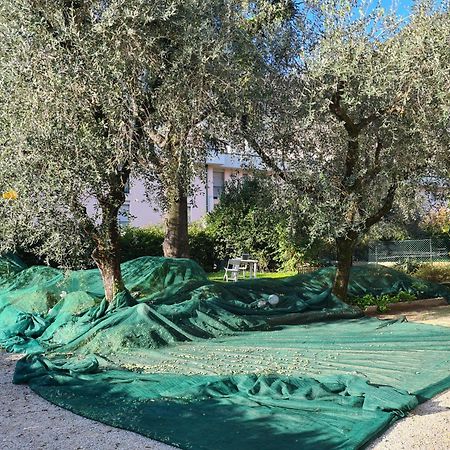 Apartamento Le Peonie Riva del Garda Exterior foto