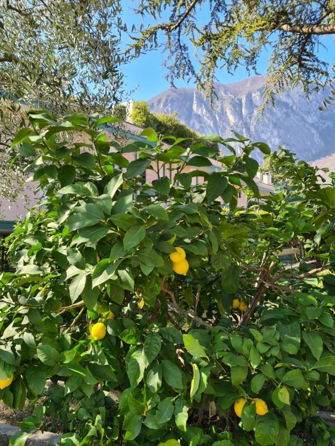 Apartamento Le Peonie Riva del Garda Exterior foto
