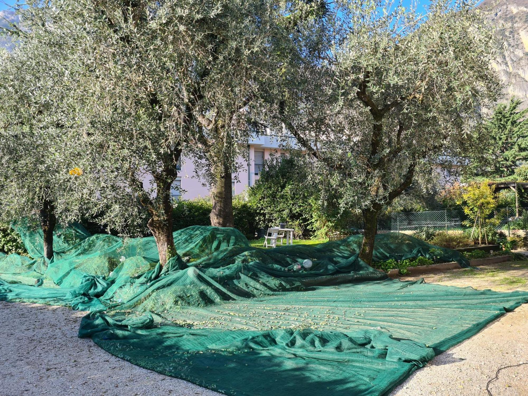 Apartamento Le Peonie Riva del Garda Exterior foto